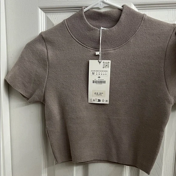 Zara Taupe Short Sleeve Ribbed Crop Top - Picture 1 of 4